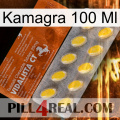 Kamagra 100 Ml 42